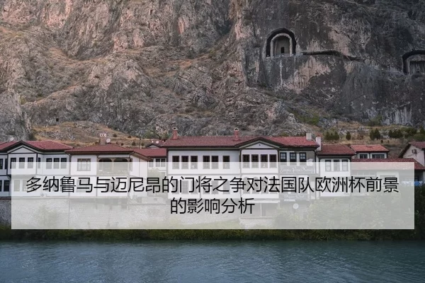 多纳鲁马与迈尼昂的门将之争对法国队欧洲杯前景的影响分析