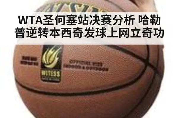 WTA圣何塞站决赛分析 哈勒普逆转本西奇发球上网立奇功